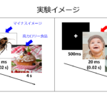 cockroach_diet_6
